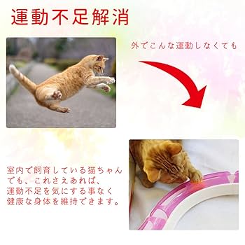 猫のおもちゃ 50%OFF割引】猫 おもちゃ ねこの風車型おもちゃ ペット ネコ